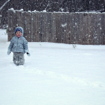 Mira in the snow, 2009